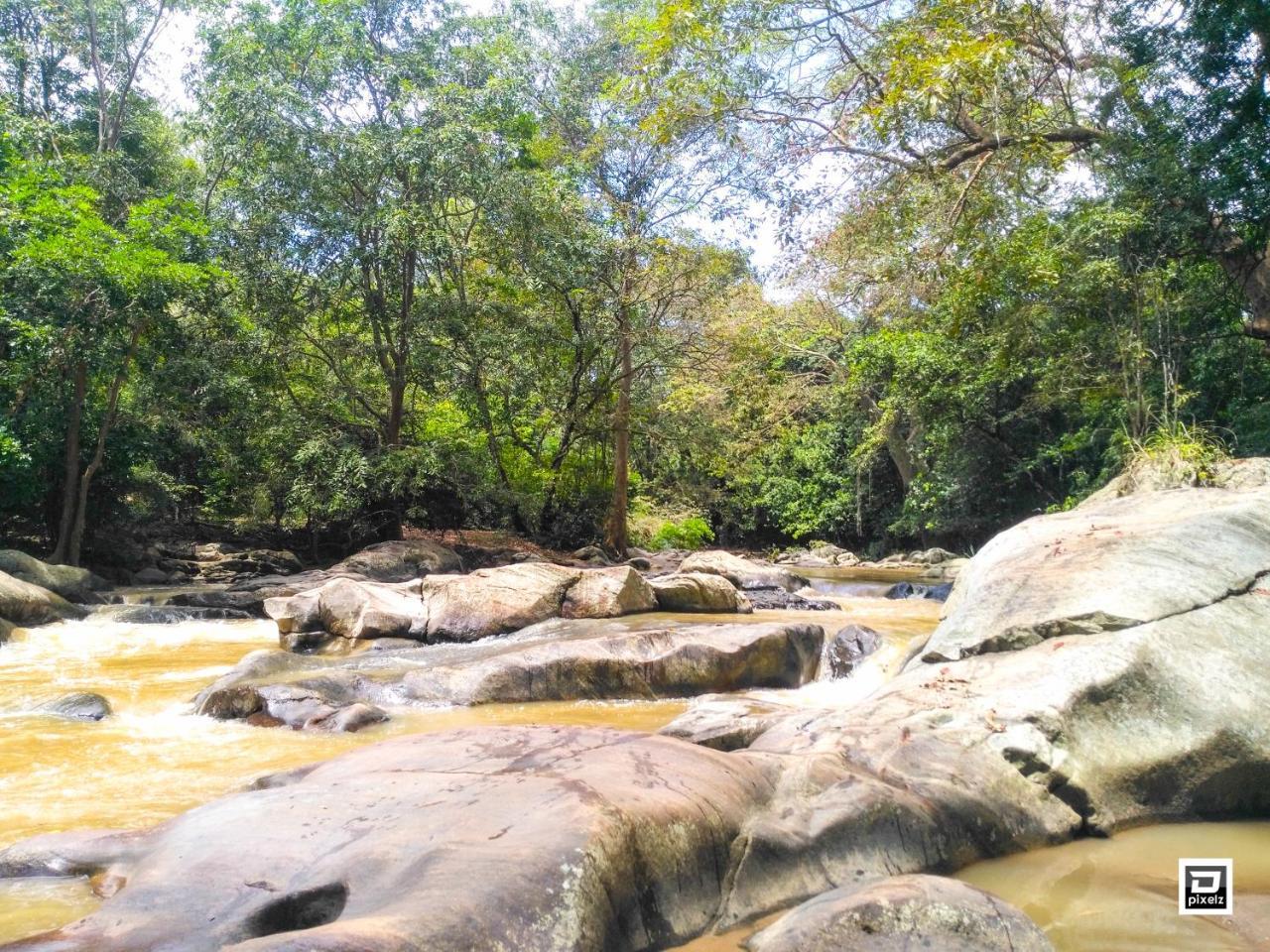 Ella River Face Inn المظهر الخارجي الصورة